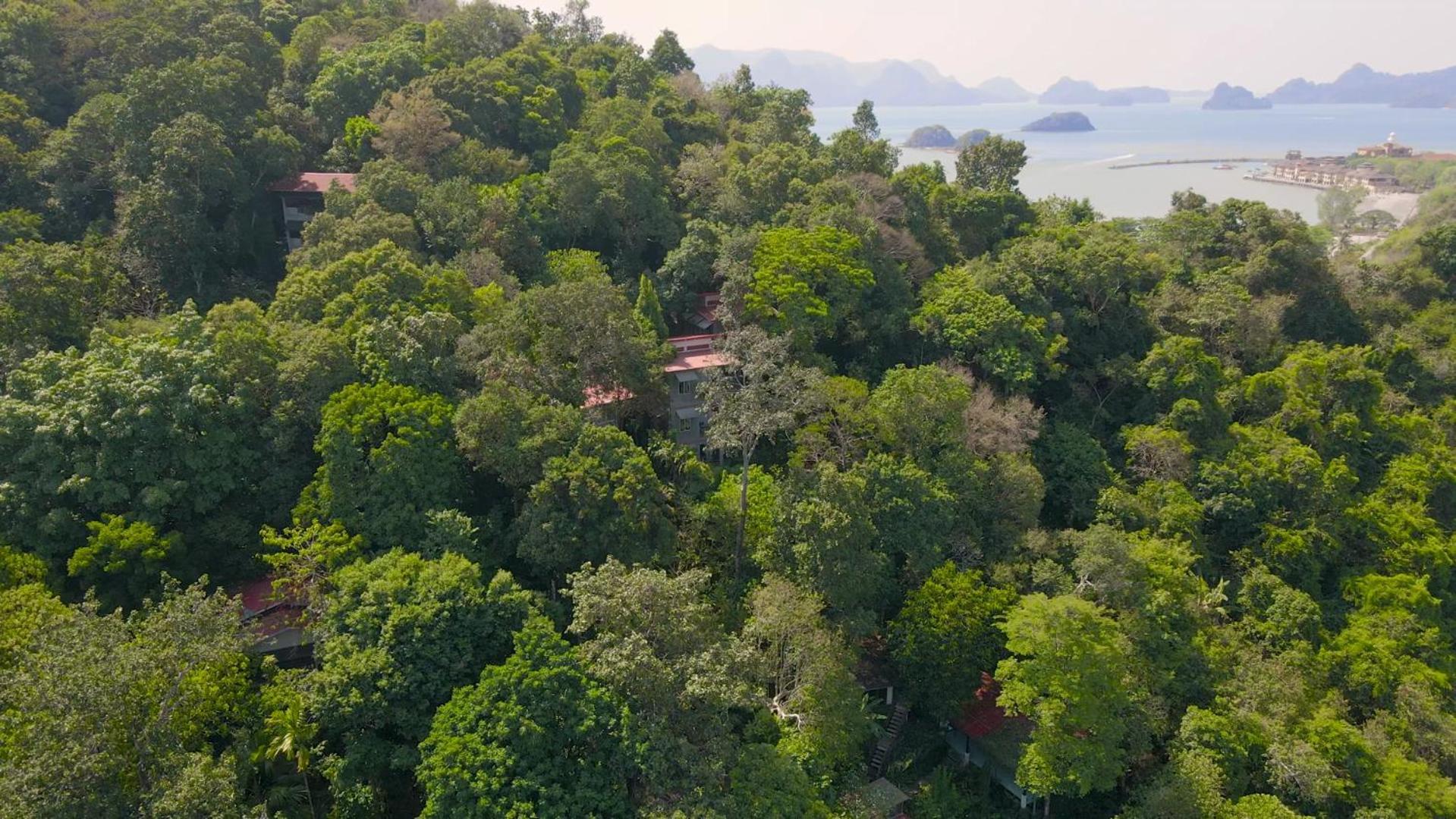 Ambong Rainforest Retreat Lodge Pantai Cenang (Langkawi)