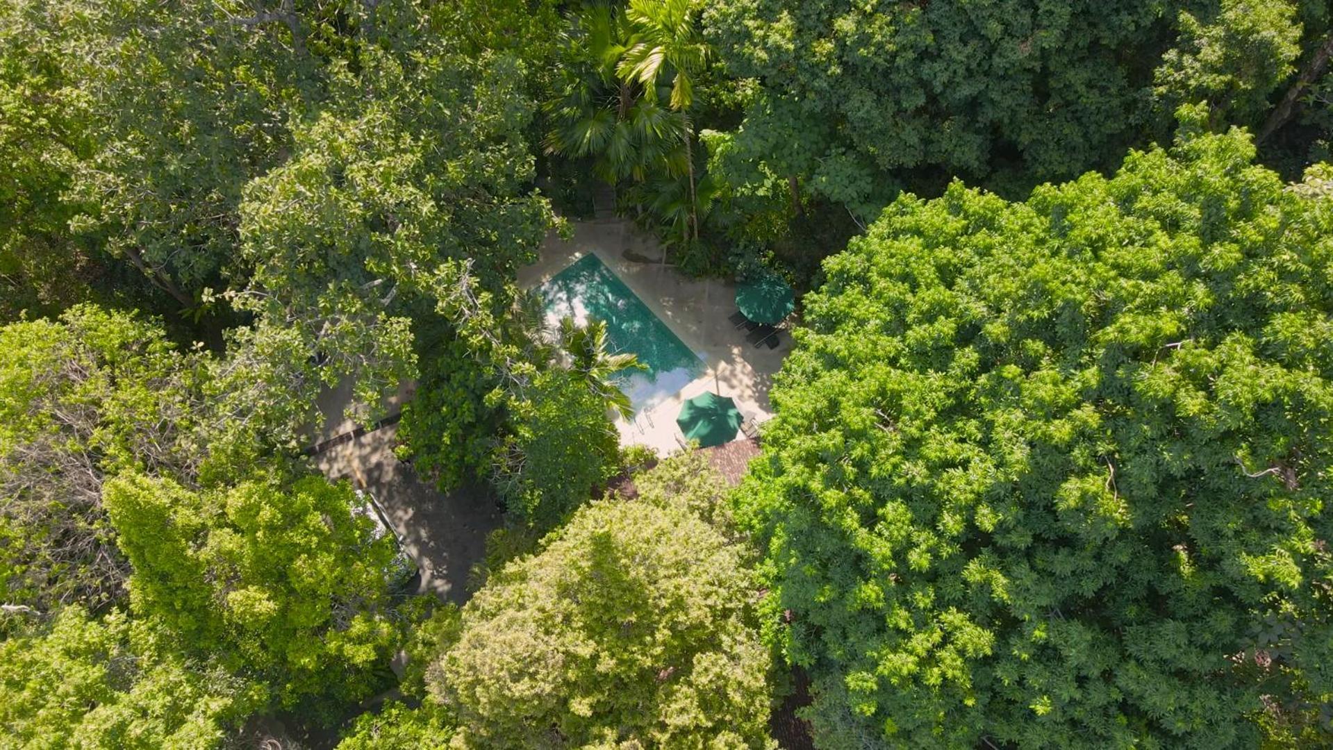 Lodge Ambong Rainforest Retreat Pantai Cenang (Langkawi)