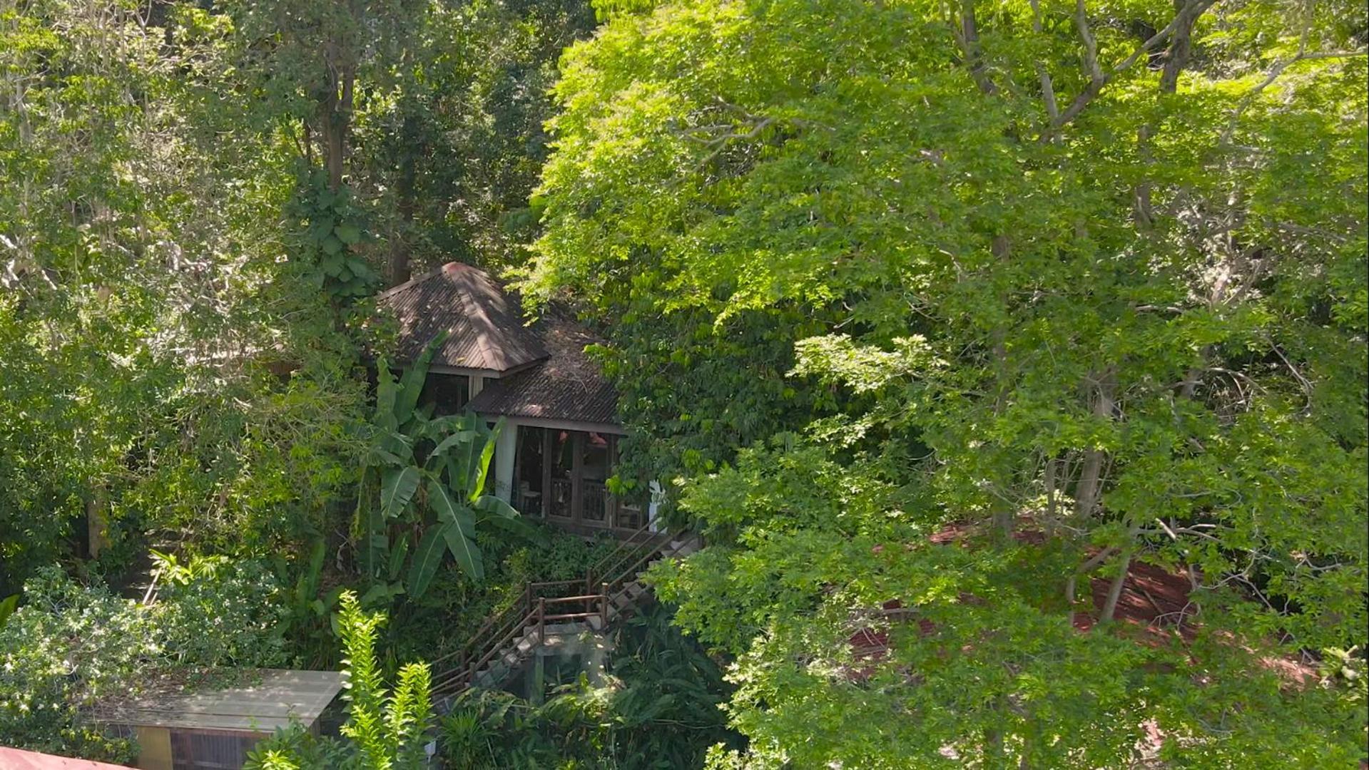 Lodge Ambong Rainforest Retreat