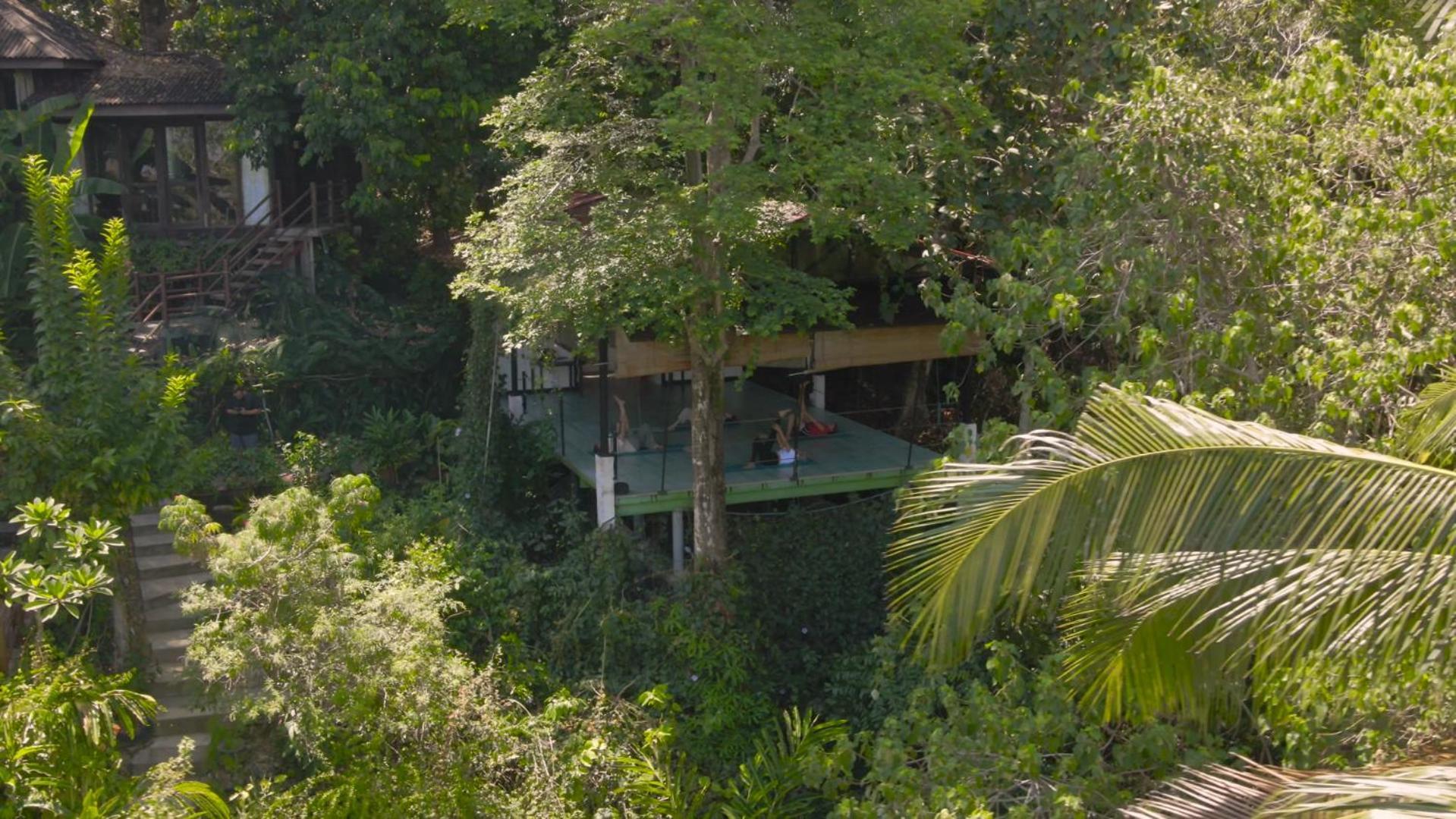 Ambong Rainforest Retreat Lodge Pantai Cenang (Langkawi)