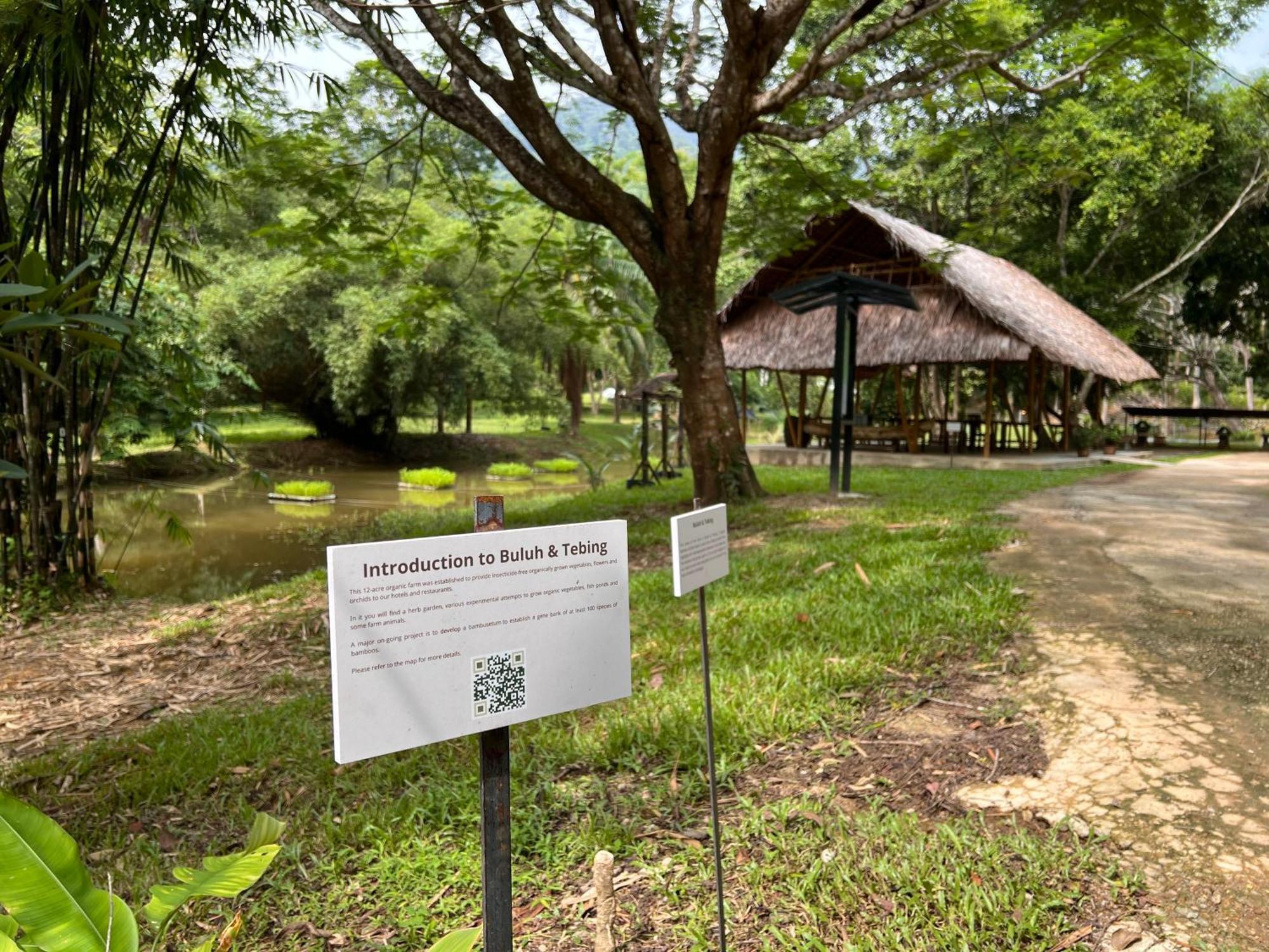 Ambong Rainforest Retreat Lodge *