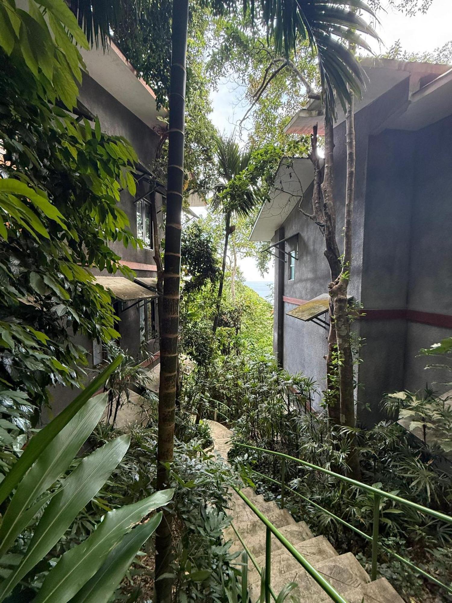 Lodge Ambong Rainforest Retreat Pantai Cenang (Langkawi)