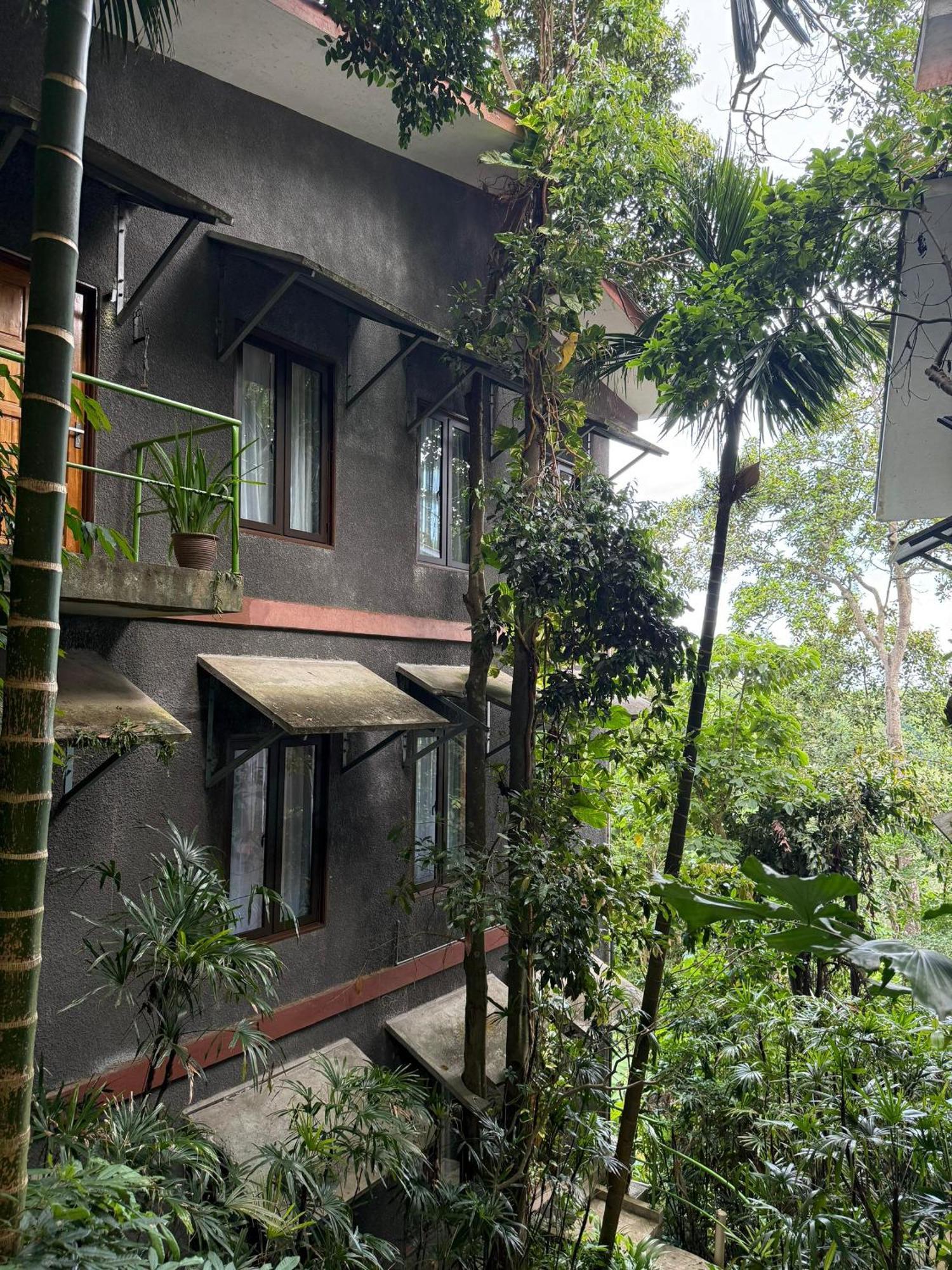 Ambong Rainforest Retreat * Pantai Cenang (Langkawi)