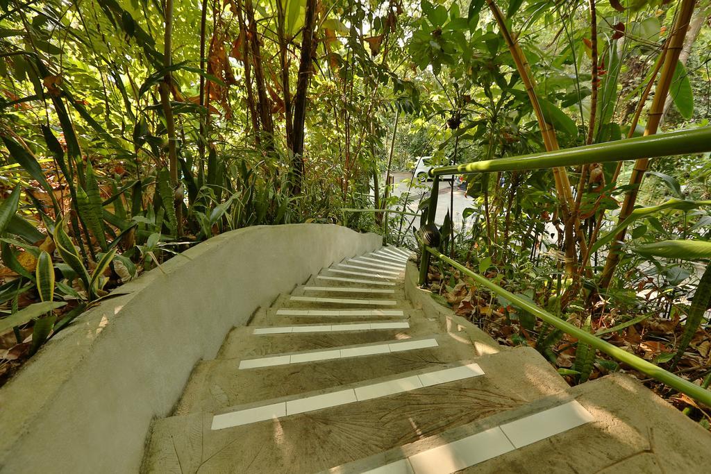 Lodge Ambong Rainforest Retreat Pantai Cenang (Langkawi)