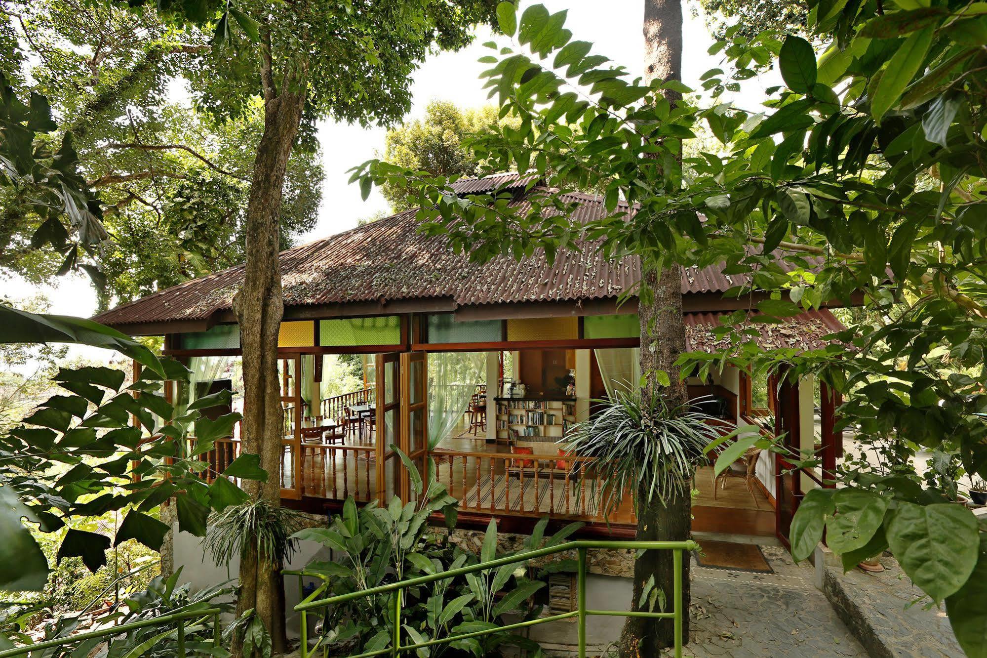 Ambong Rainforest Retreat *